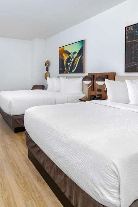 Hotel La Quinta Inn & Suites by Wyndham Terrell photo 2