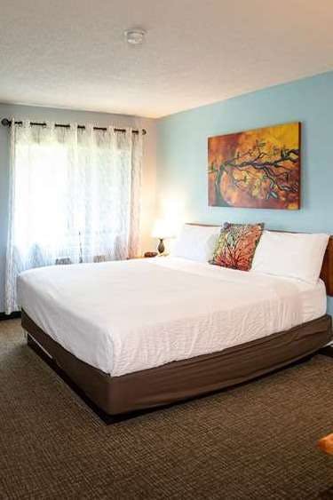 Hotel Deadwood Gulch Resort, Trademark Collection by Wyndham photo 1