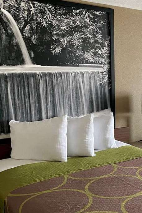 Hotel Super 8 Harker Heights Killeen photo 3