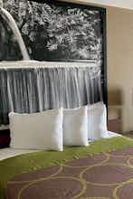 Hotel Super 8 Harker Heights Killeen photo 3