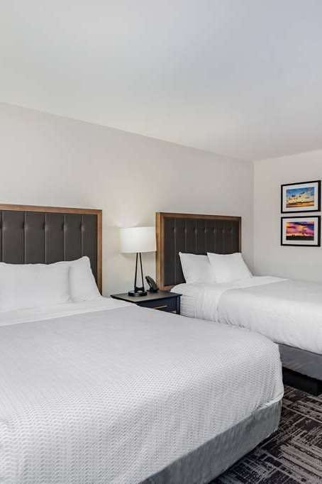 Hotel LaQuinta Suites by Wyndham South Bend Notre Dame Area photo 4