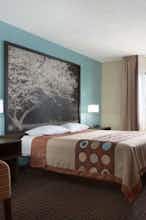 Hotel Super 8 by Wyndham Mt. Vernon IL photo 1