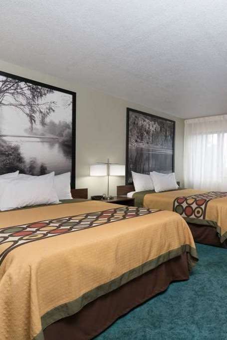 Hotel Super 8 by Wyndham Alexandria MN photo 2