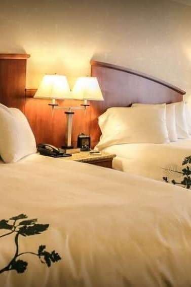 Hotel Wingate by Wyndham Elkins photo 2