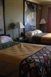 Hotel Super 8 by Wyndham Picayune photo 2