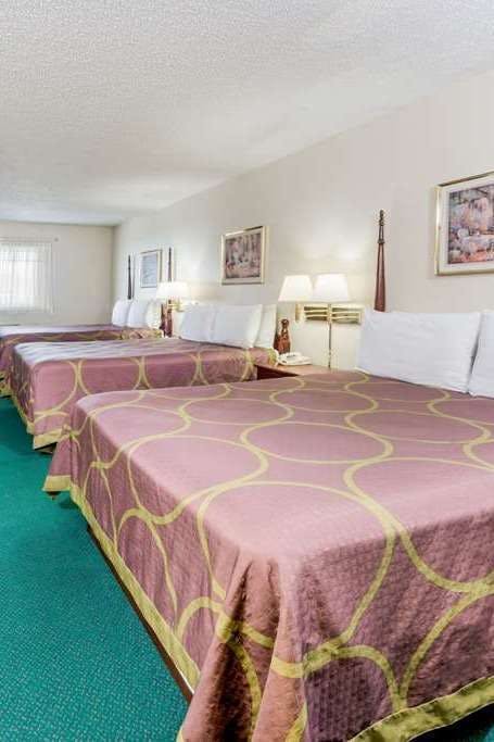 Hotel Super 8 by Wyndham Jerseyville photo 3