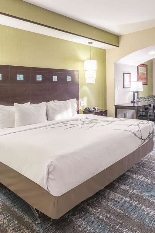 Hotel La Quinta Inn & Suites by Wyndham Dallas Grand Prairie South photo 1