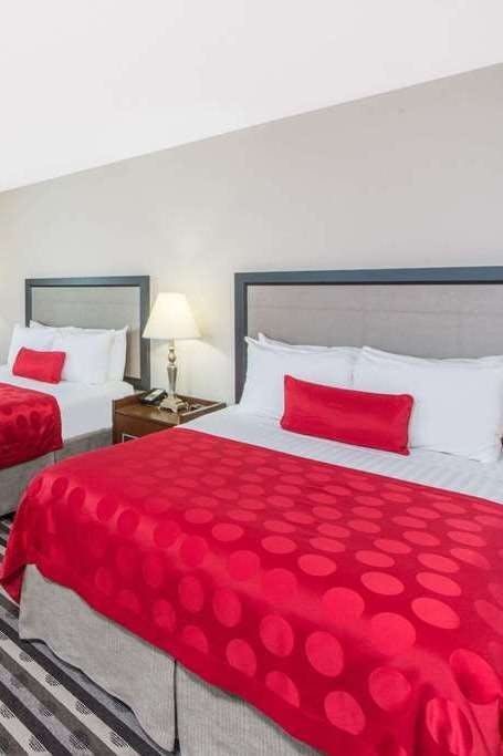 Hotel Ramada by Wyndham Springfield North photo 2