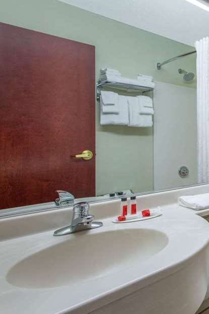 Hotel Microtel Inn & Suites by Wyndham Lillington / Campbell Univ photo 3