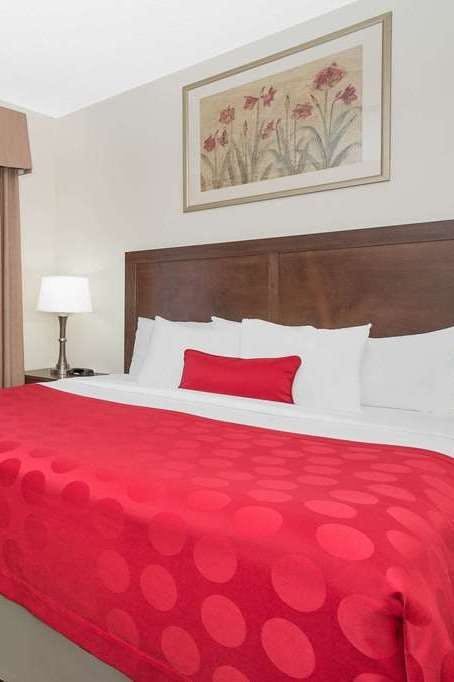 Hotel Ramada by Wyndham Denver International Airport photo 1