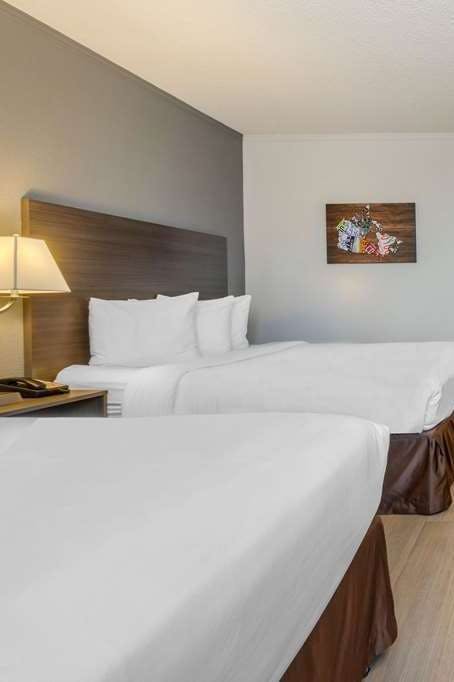 Hotel Super 8 by Wyndham Macleod Trail Calgary photo 3