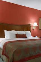 Hotel Ramada by Wyndham Raleigh photo 1