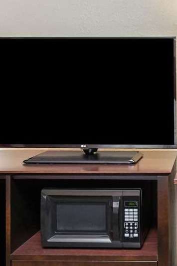 Hotel La Quinta Inn by Wyndham Clearwater Central photo 4