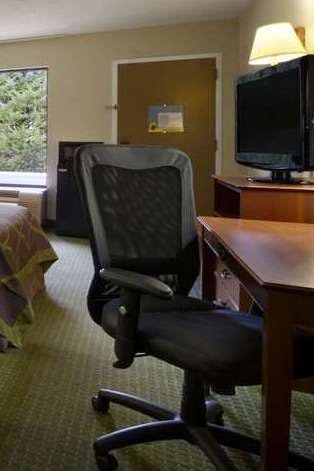 Hotel Super 8 by Wyndham Calhoun photo 5