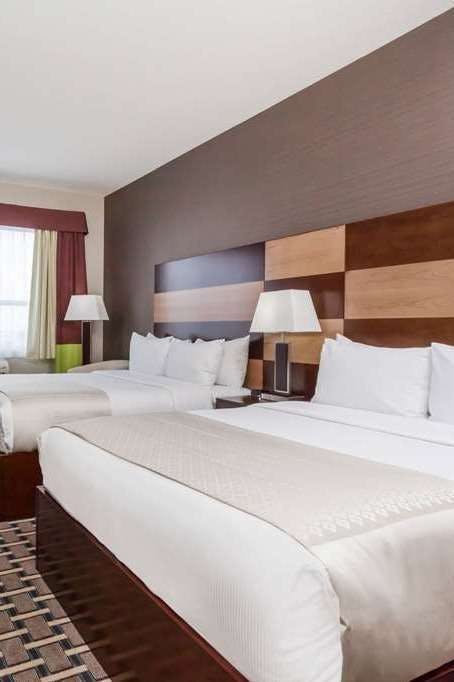 Hotel Wyndham Garden Edmonton Airport photo 2