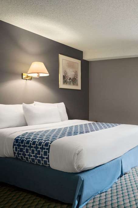 Hotel Travelodge Edmonton Airport photo 1