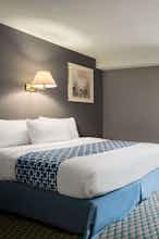 Hotel Travelodge Edmonton Airport photo 1