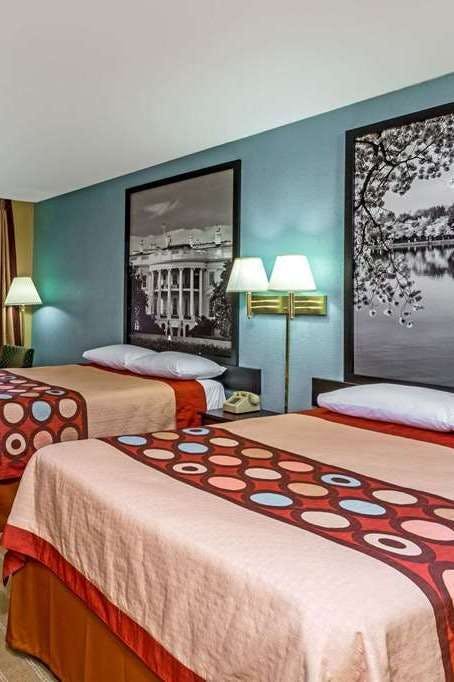 Hotel Super 8 by Wyndham Jessup/Baltimore Area photo 3