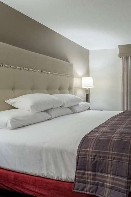 Hotel Drury Plaza Hotel St Paul Downtown photo 1