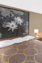 Hotel Super 8 by Wyndham Bay St. Louis photo 1