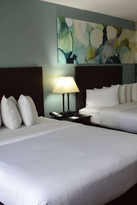 Hotel Wyndham Garden Ann Arbor photo 2