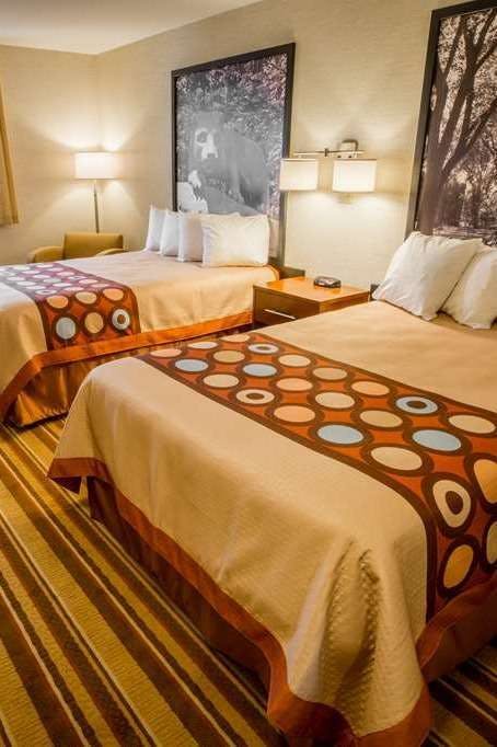 Hotel Super 8 by Wyndham State College photo 2