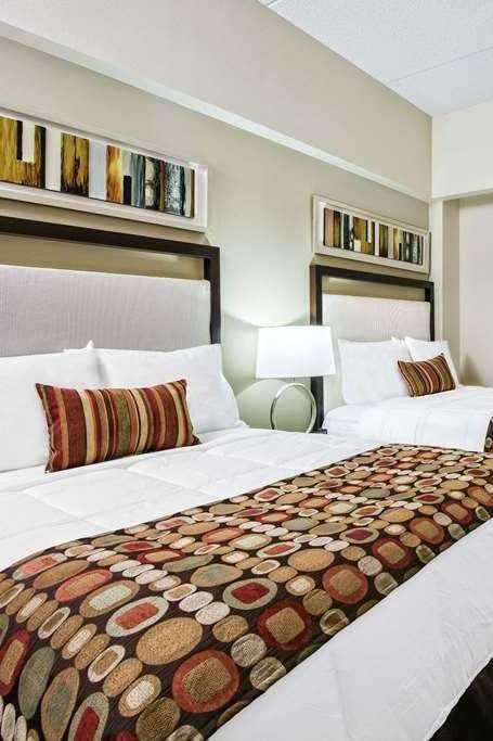 Hotel Hawthorn Extended Stay by Wyndham McAllen photo 2