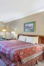 Hotel Travelodge by Wyndham Winchester photo 1