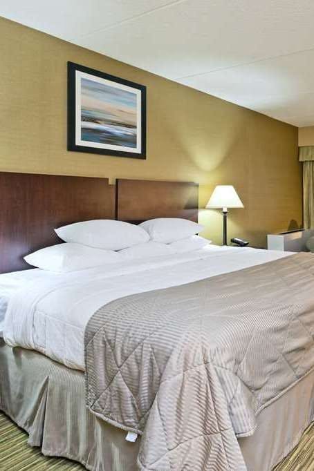 Hotel Wyndham Garden Ann Arbor photo 1