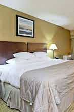 Hotel Wyndham Garden Ann Arbor photo 1