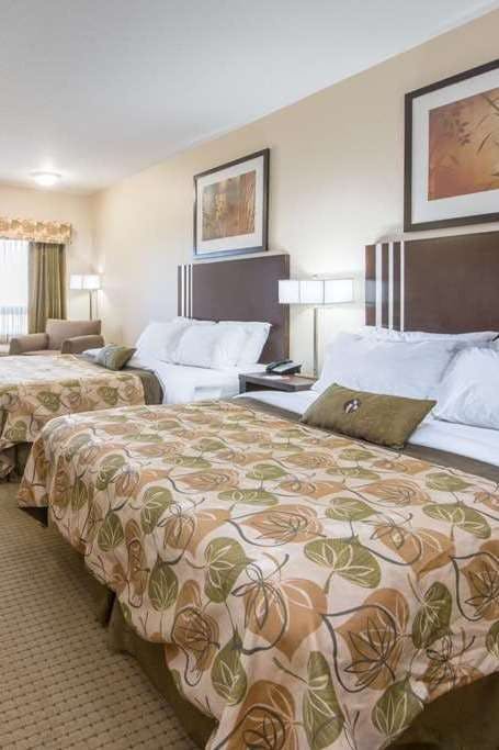 Hotel Ramada by Wyndham Wainwright photo 2