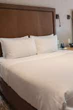 Hotel Moose Hotel And Suites photo 1