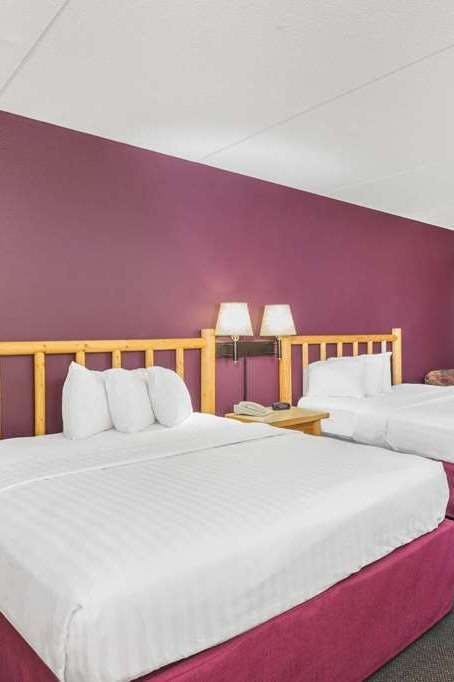 Hotel AmericInn WI Dells photo 2