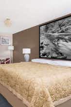 Hotel Super 8 Shelton photo 2