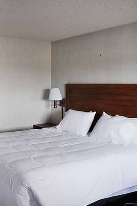 Hotel Super 8 by Wyndham Petoskey photo 2