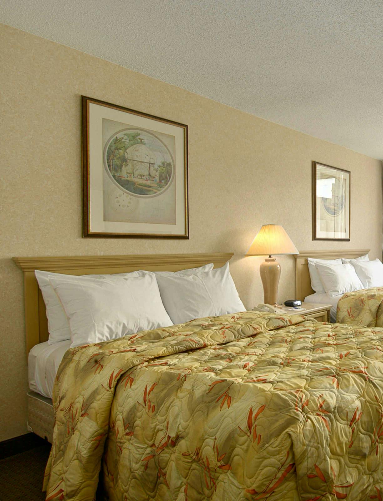 Hotel Comfort Inn Cleveland Downtown photo 2