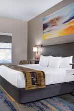 Hotel La Quinta Inn & Suites Tampa Central photo 1