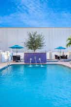 Hotel La Quinta Inn & Suites Tampa Central photo 3