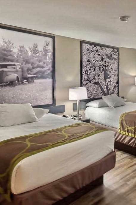 Hotel Super 8 by Wyndham Georgetown photo 2