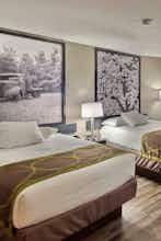 Hotel Super 8 by Wyndham Georgetown photo 2
