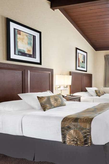 Hotel Travelodge by Wyndham San Francisco Bay photo 2