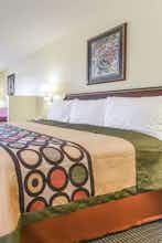 Hotel Super 8 Burleson Fort Worth photo 1