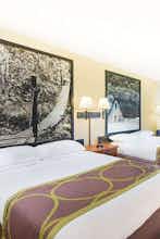 Hotel Super 8 by Wyndham Ripley photo 2