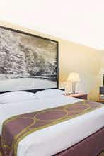 Hotel Super 8 by Wyndham Ripley photo 1