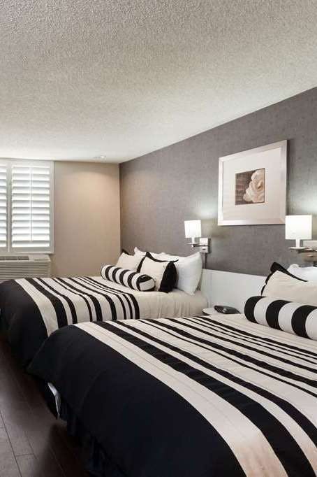 Hotel Ramada Plaza by Wyndham West Hollywood Hotel & Suites photo 3