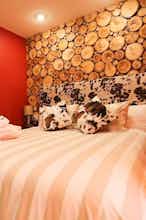 Hotel Days Inn Calgary North Balzac photo 1