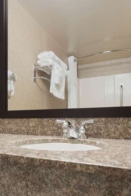 Hotel Wingate by Wyndham Chicago Schaumburg photo 5