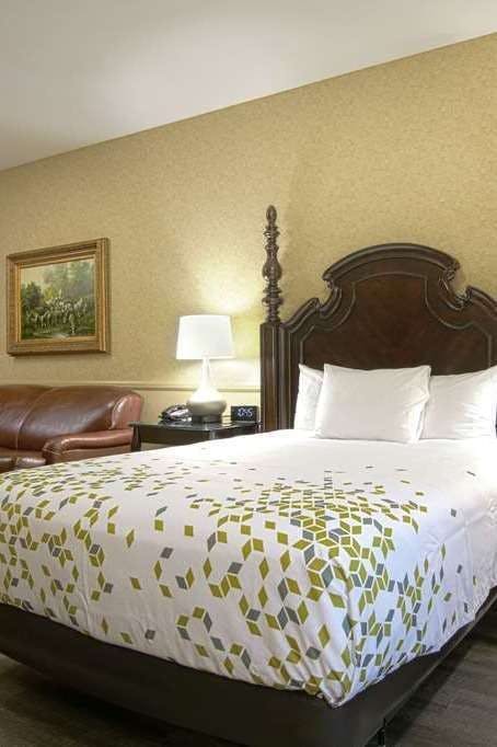 Hotel Azure Hotel & Suites, Trademark Collection by Wyndham photo 1