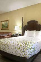 Hotel Azure Hotel and Suites Trademr photo 1