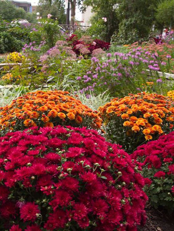 Hotel The Saint Paul Hotel photo 5